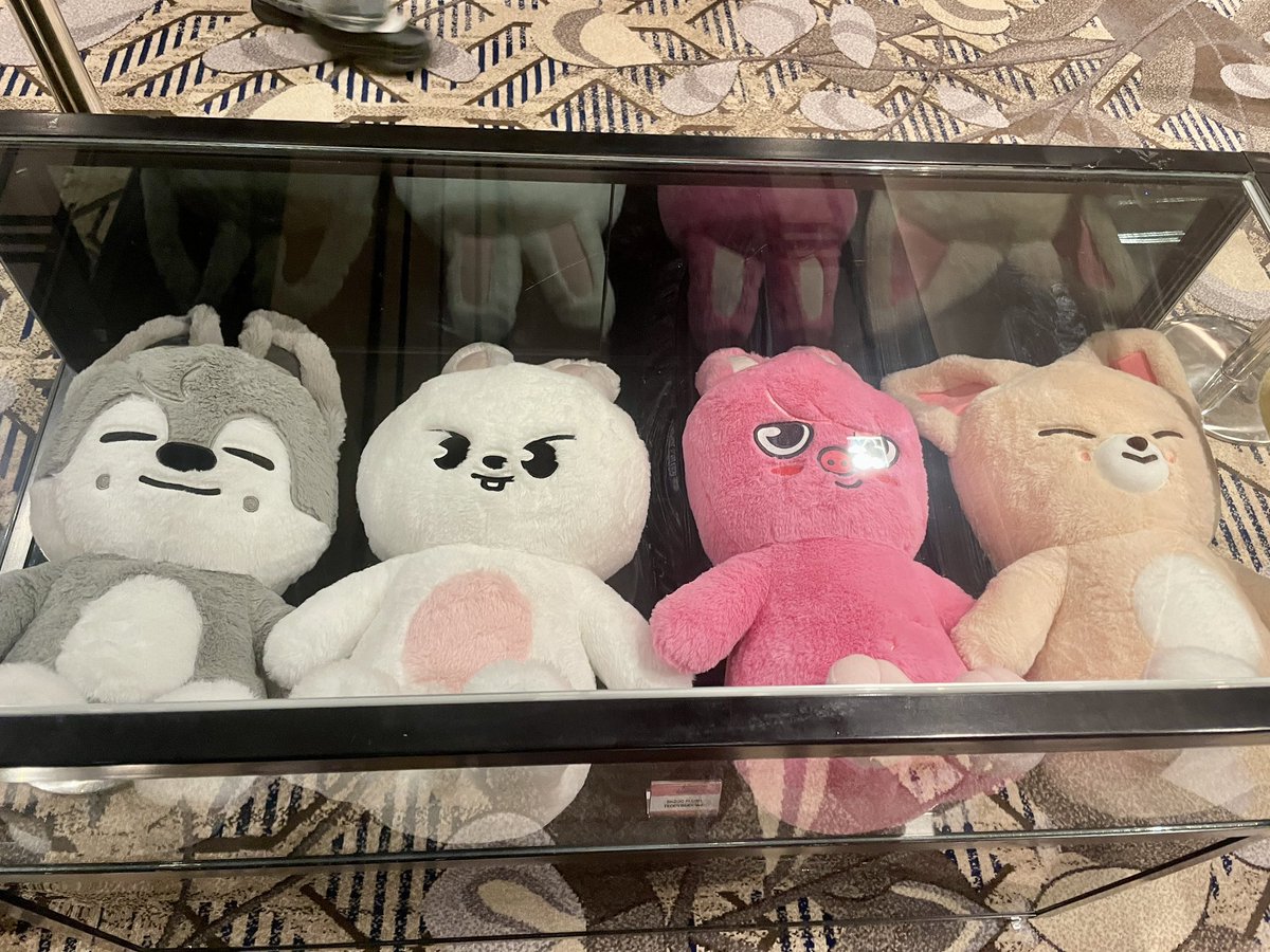 TEDDY SKZOO ちょっと写真じゃ伝わらんけど可愛いことは伝わってる