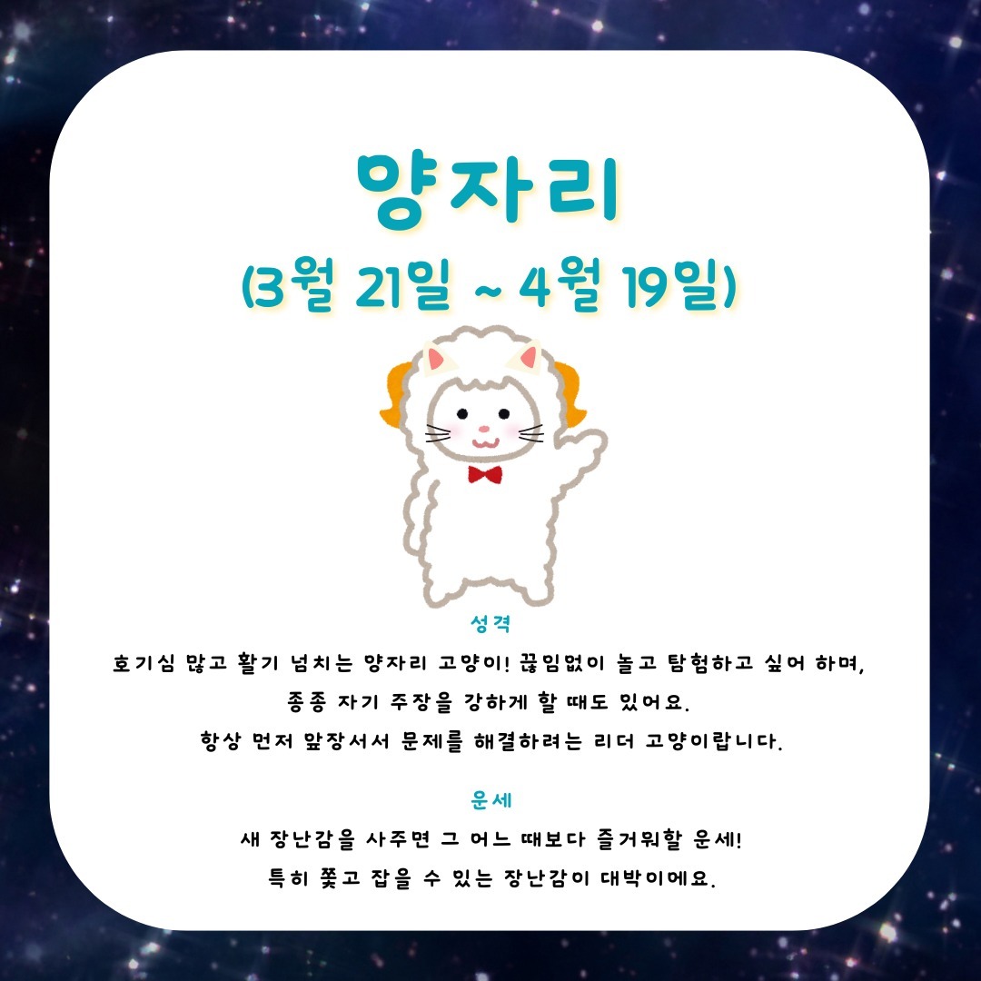 고양이만 진료하는-고양이병원 백산동물병원 tweet media