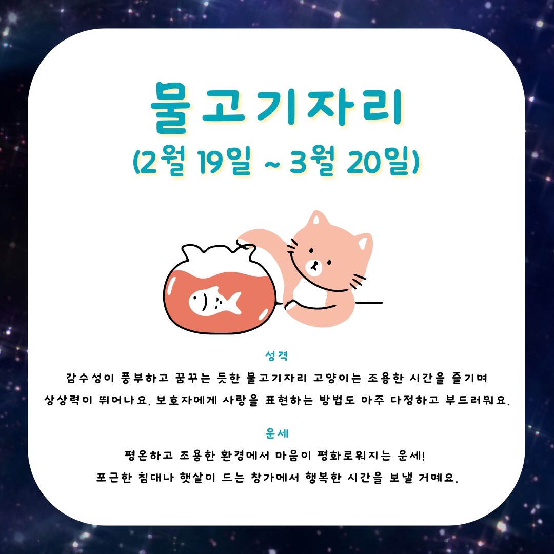 고양이만 진료하는-고양이병원 백산동물병원 tweet media