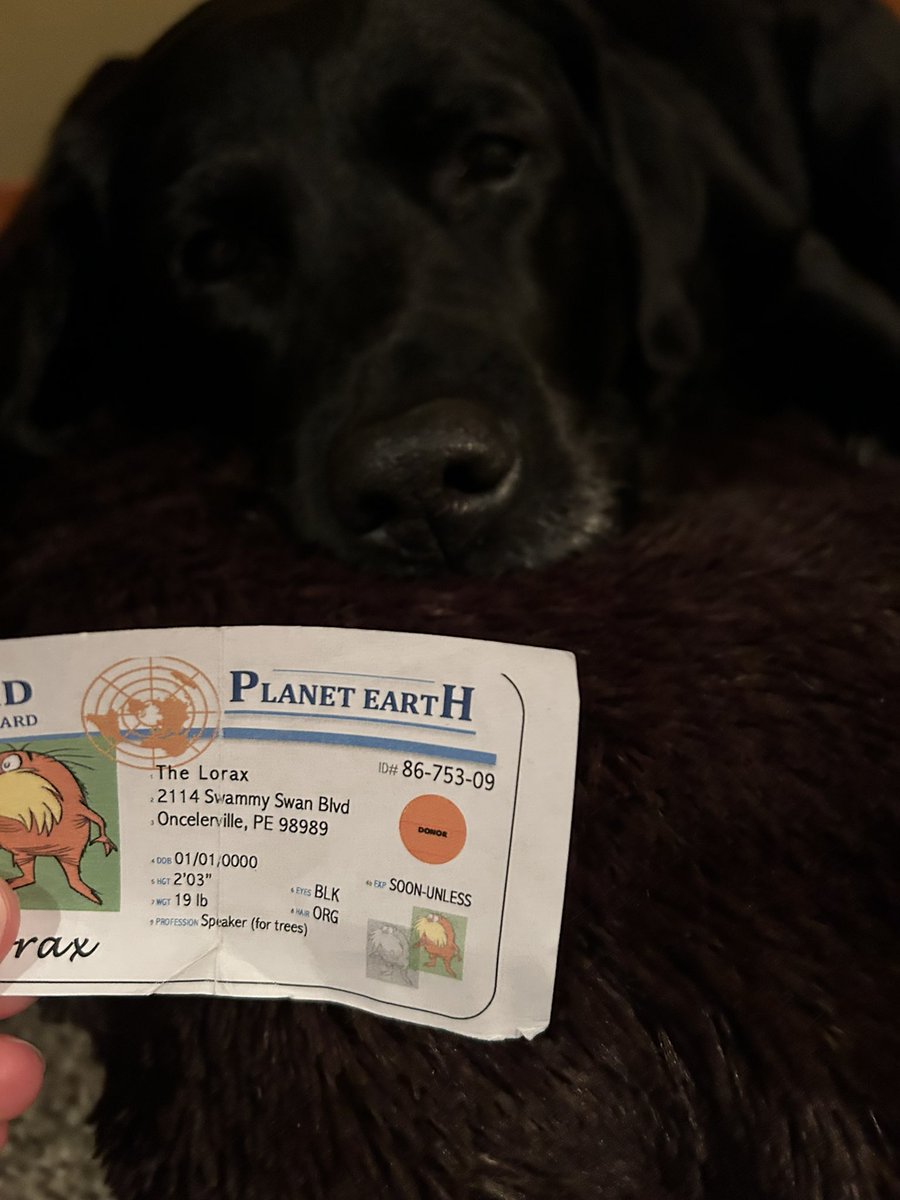 RyanMcC1121's tweet photo. My dog, Mindy, is a K-Strategist.  #apesecology https://t.co/YDfQillkRX