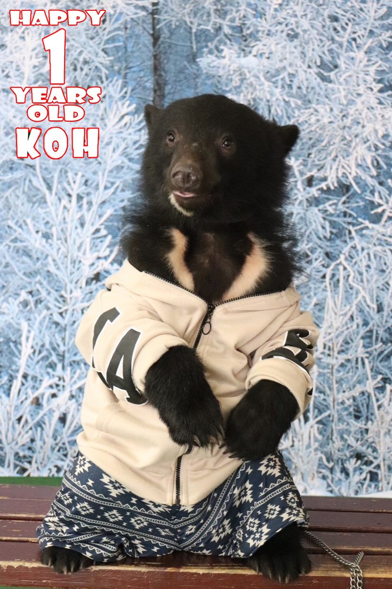 本日はこぐま広場のこぐま達の1歳の誕生日です🎂🎉 双子のちょっと