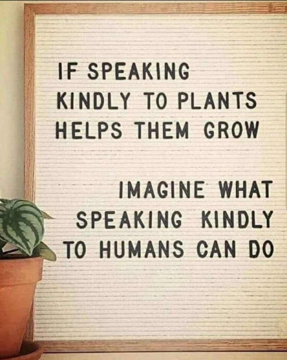 In a world filling with #hate #anger #bullying #divisiveness #conflict may we understand that the only way to #truepeace within and between us is #kindness #compassion #connection and boundaries of respect in how we talk to each other. 🙏🏾💜