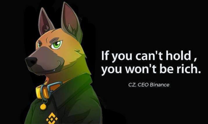 HODL THE $BSC MASCOT