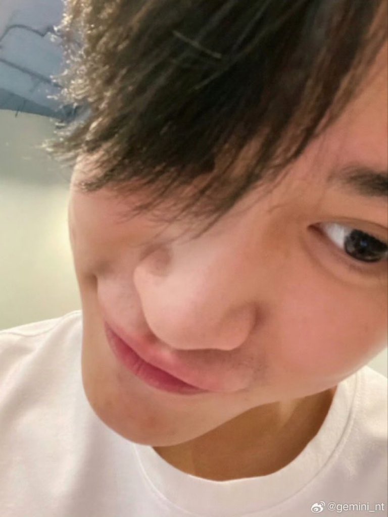 thisisjeremys's tweet image. อัยลูกม๋า 🐶