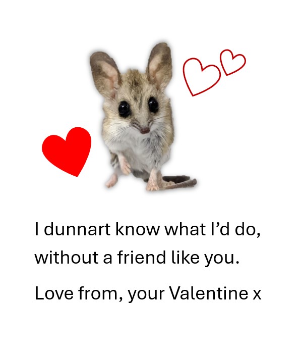 Dr Emily Scicluna ๐ (@drdunnart) on Twitter photo Forgot to get a card? I got you covered! Show your loved one you care with one of my widely applicable and not-at-all-niche Valentine's messages ๐ฅฐ๐๐
#fattaileddunnart #dunnart #marsupial #threatenedspecies #ValentinesDay #Valentines Forgot to get a card? I got you covered! Show your loved one you care with one of my widely applicable and not-at-all-niche Valentine's messages ๐ฅฐ๐๐
#fattaileddunnart #dunnart #marsupial #threatenedspecies #ValentinesDay #Valentines