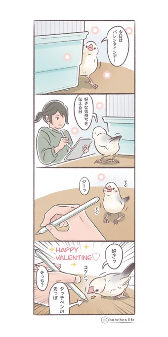 ハッピーバレンタイン✨
実際に1号はタッチペンの先っぽが大好きw
#文鳥 
#4コマ漫画 
