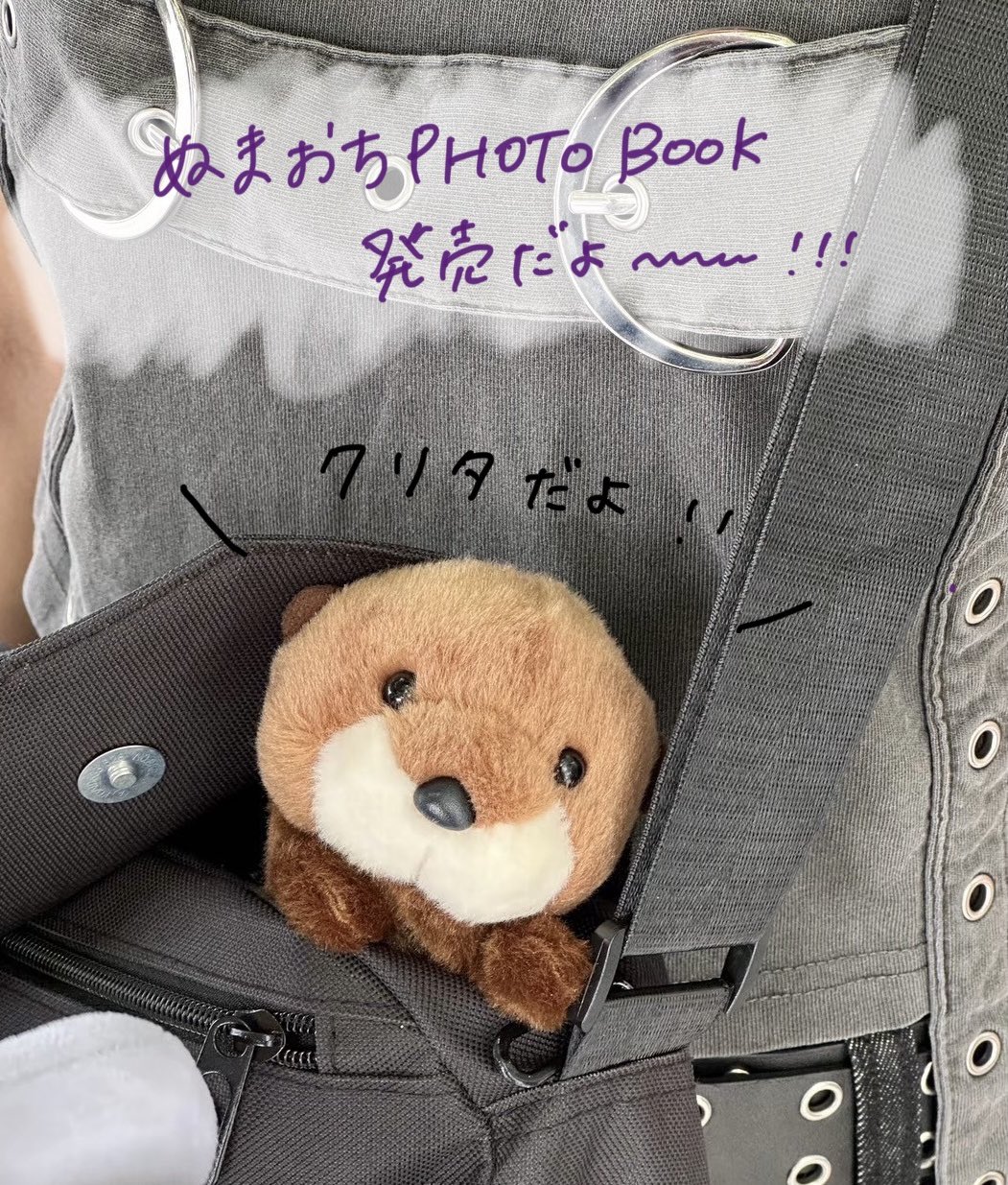 菅沼千紗 on X: 