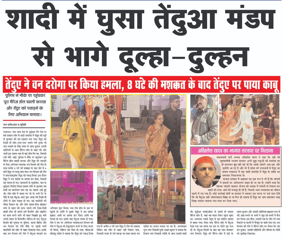 JDNEWS07's tweet photo. शादी में घुसा तेंदुआ मंडप से भागे दूल्हा-दुल्हन
8 घंटे की कड़ी मशक्कत के बाद तेंदुए पर पाया काबू
@TwitterFaith @Amittri12345 @viralchek https://t.co/bL8bZyH8iC