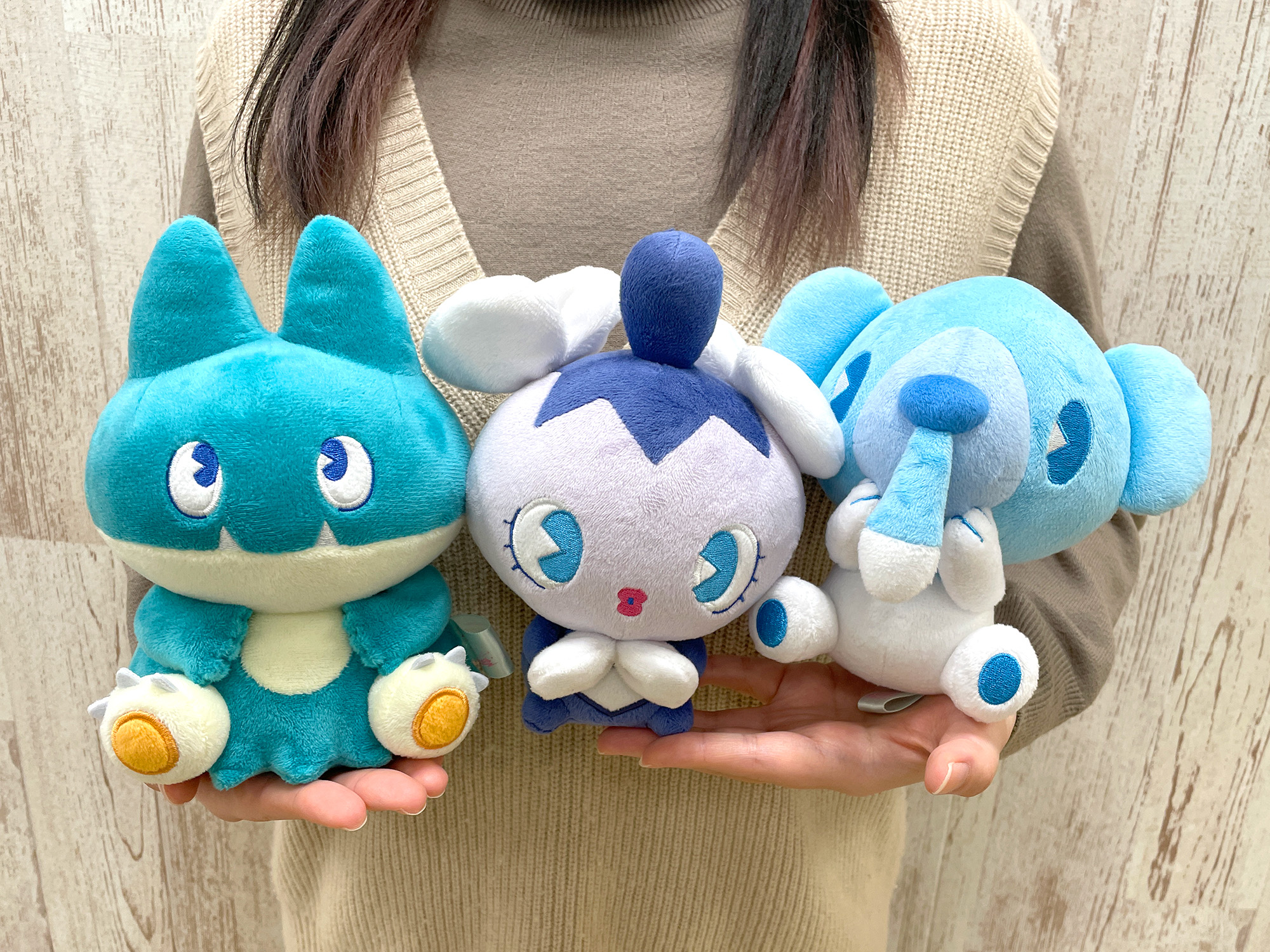 ポケモンだいすきクラブ編集部【公式】 on X: ポケモンだいすきクラブ編集部【公式】 on X: