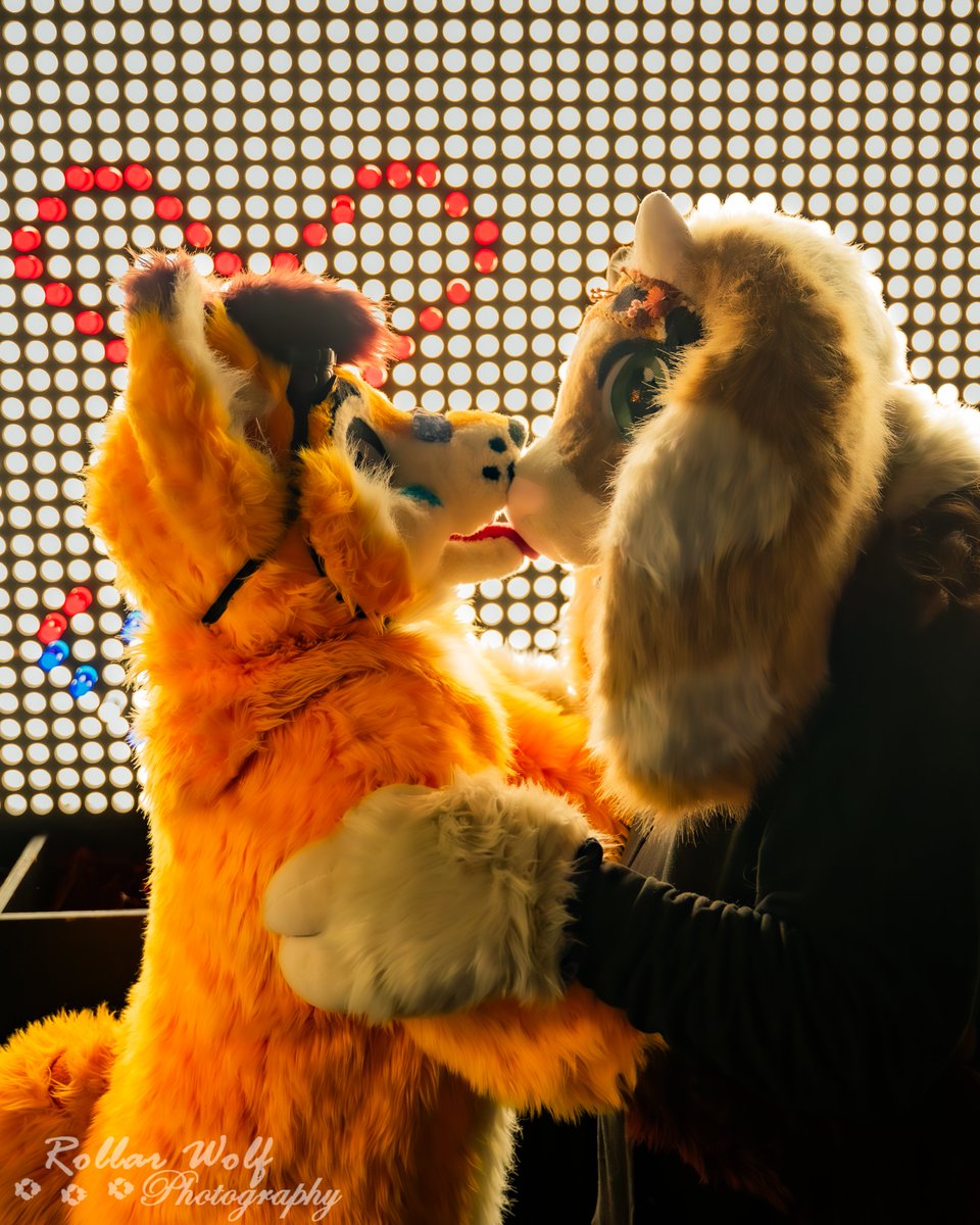 Love is in the air… or maybe just a little mischief! When sparks fly and hearts glow, you know it’s a perfect night.

🐮<a href="/SleepyKitStefan/">StefanFoxKit</a> ( Adonis wearing )
🦊<a href="/SleepyKitStefan/">StefanFoxKit</a>