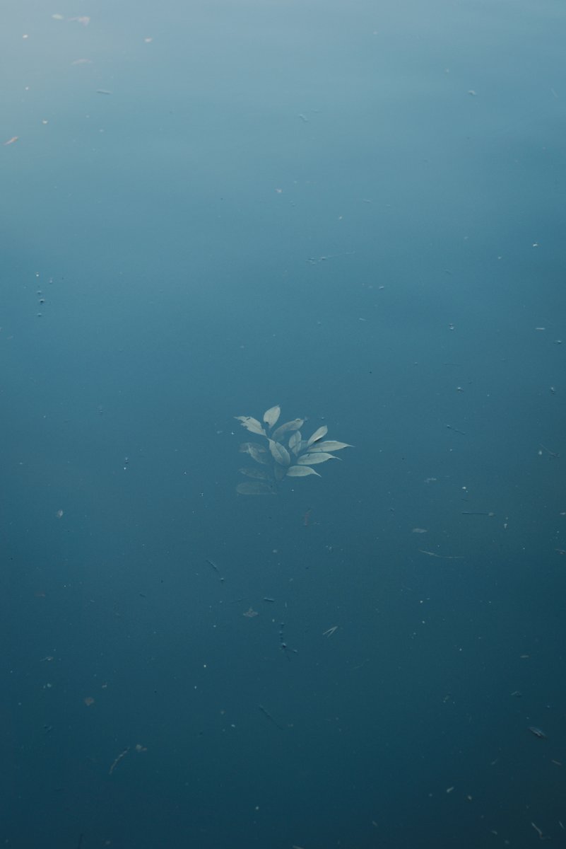 seina (@suna_photograph) on Twitter photo 