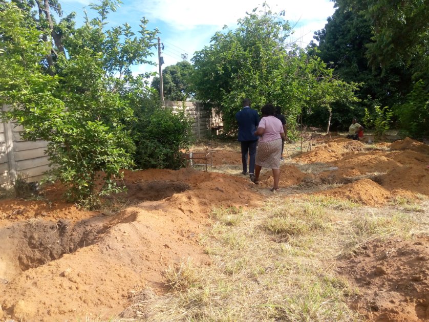 TreeKnowers's tweet image. We assessed 15 schools in Highfield and Glenorah, and a total of 500 trees will be planted. Starting Monday, we should be able to begin distributing the trees from our nurseries to the mentioned schools for planting."