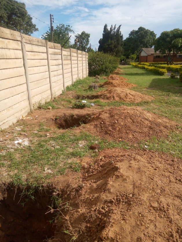 TreeKnowers's tweet image. We assessed 15 schools in Highfield and Glenorah, and a total of 500 trees will be planted. Starting Monday, we should be able to begin distributing the trees from our nurseries to the mentioned schools for planting."