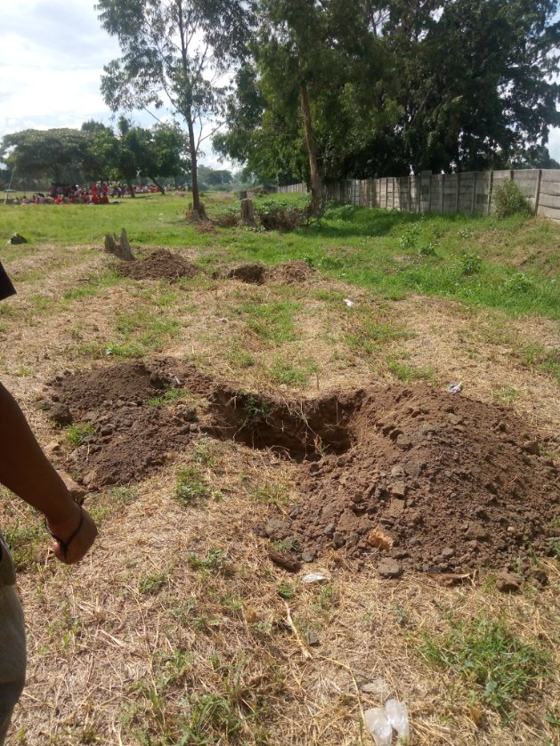 TreeKnowers's tweet image. We assessed 15 schools in Highfield and Glenorah, and a total of 500 trees will be planted. Starting Monday, we should be able to begin distributing the trees from our nurseries to the mentioned schools for planting."