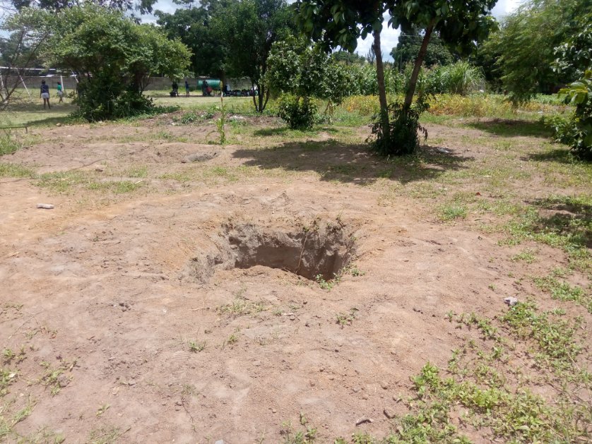 TreeKnowers's tweet image. We assessed 15 schools in Highfield and Glenorah, and a total of 500 trees will be planted. Starting Monday, we should be able to begin distributing the trees from our nurseries to the mentioned schools for planting."