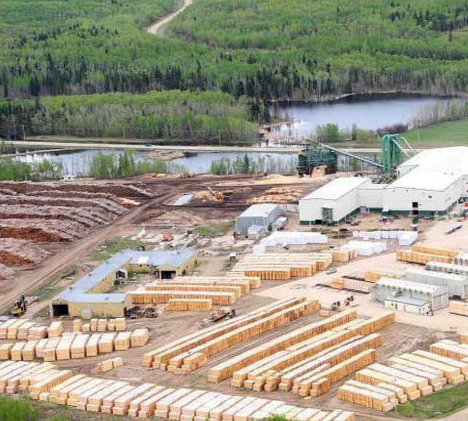 ITTCON_KG's tweet photo. Canada’s Timber Industry Adapts to U.S. Tariffs
With the U.S. doubling duties on Canadian lumber, new markets in Asia Europe are stepping up Read how Canada is turning this challenge into an opportunity https://t.co/5X9eUNfo03
#TradeImpact #ForestryInnovation #SustainableBusiness https://t.co/KmUXnsFpzY