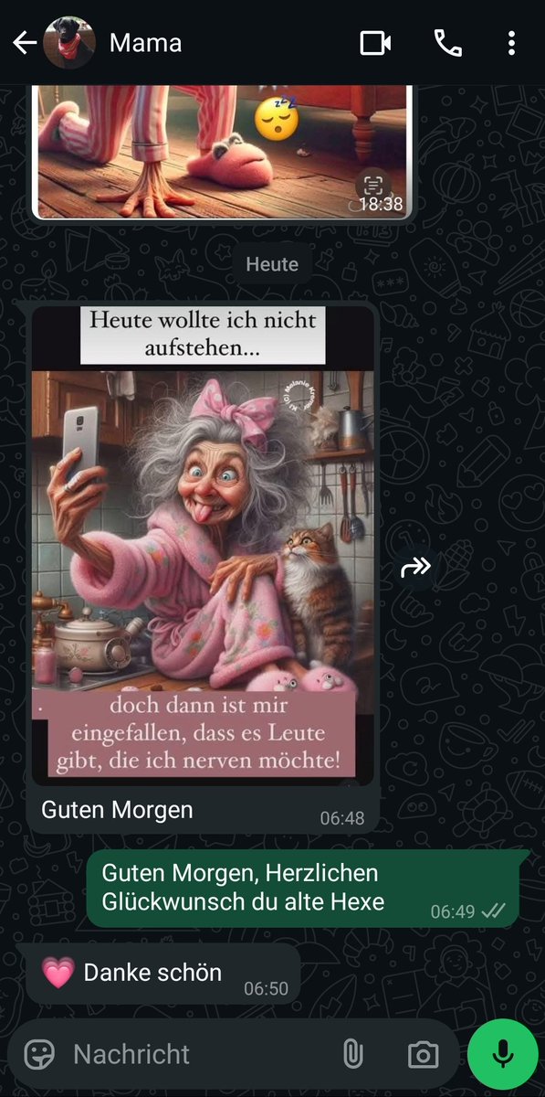 Manchmal bin Ich ein guter Sohn
