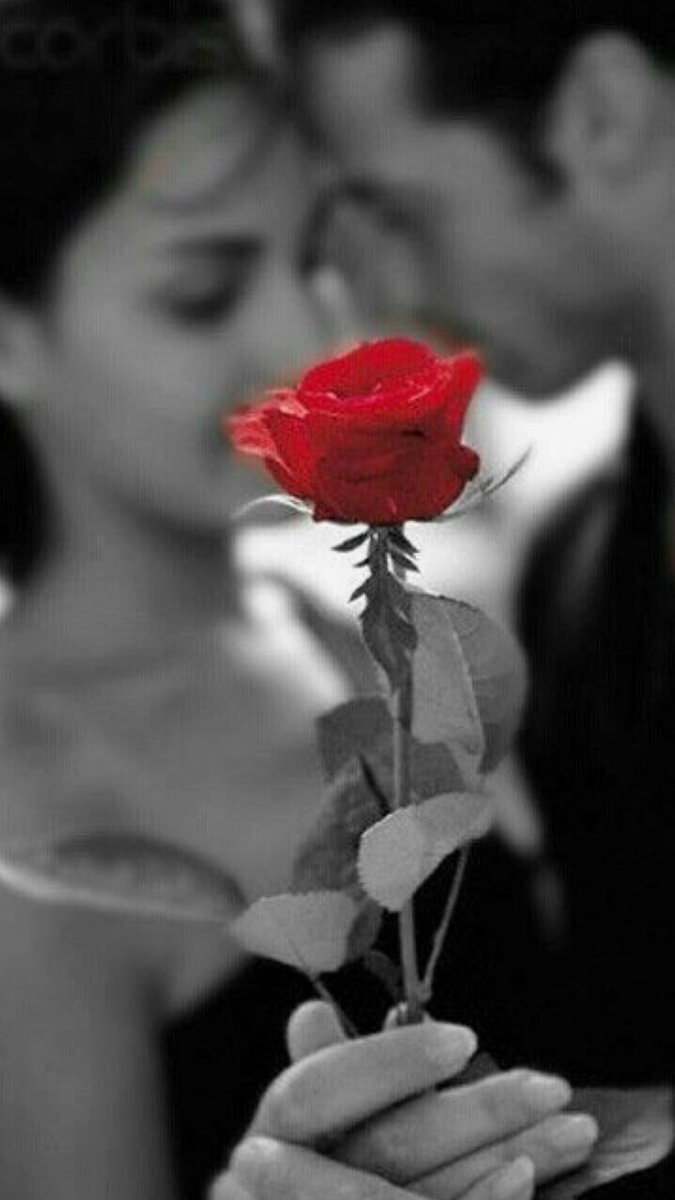 Wendy ❤️ tweet media