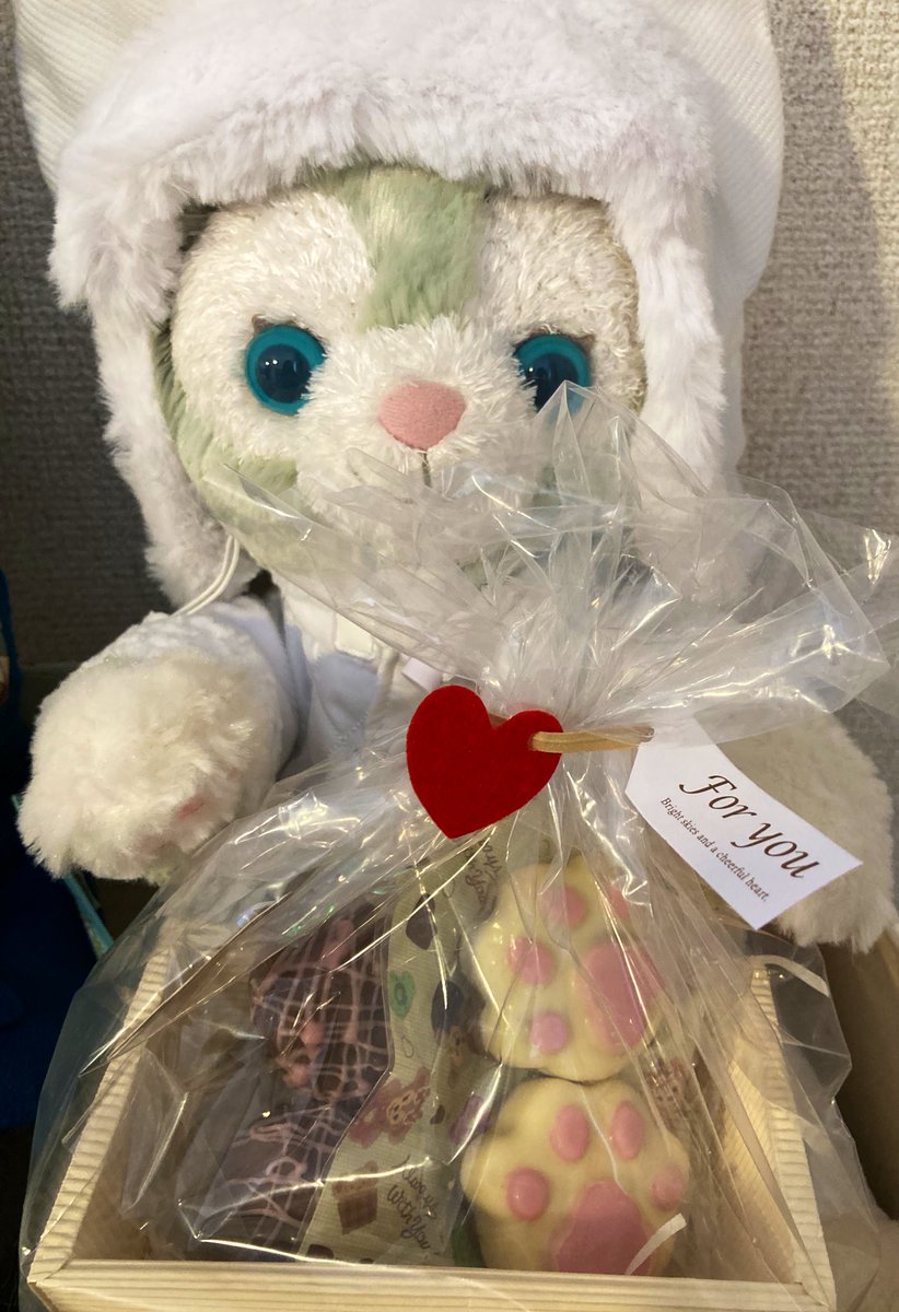 ハッピーバレンタイン✨
肉球チョコと、おやつにグリークヨーグルトボウルを作ったよ(•ㅂ•)و🍫
ちょっとジェラ手に似てる🤣