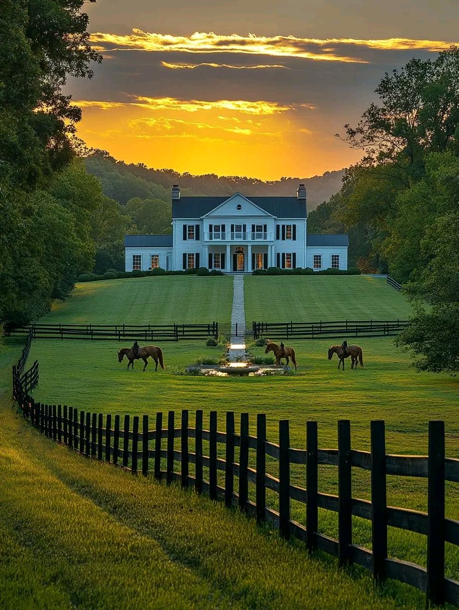 Save_A_Man's tweet photo. The goal isn't Gucci bags. It's acres of land. https://t.co/q1AkyUHzmW