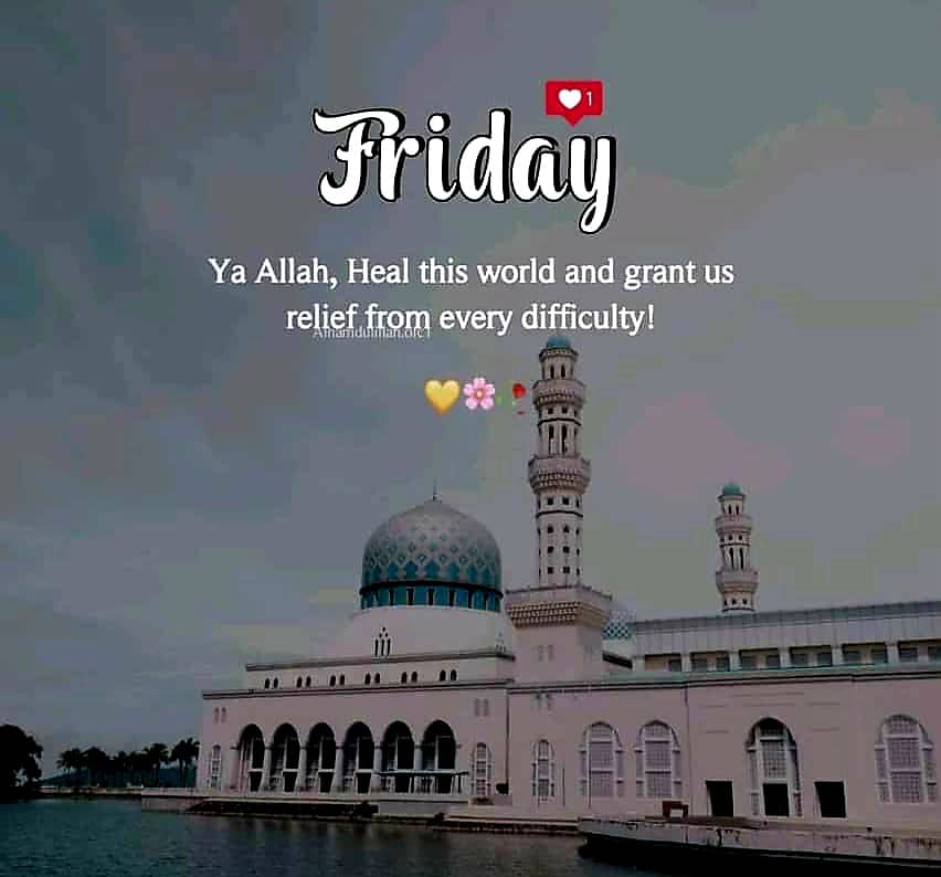 Aliyu ibrahim musa tweet media