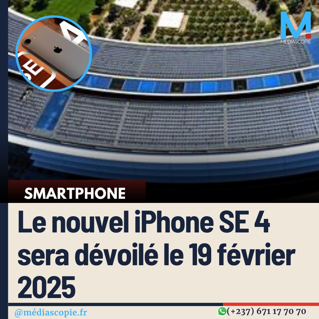 Jéwa Salomon tweet media