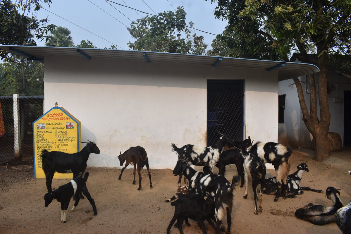 mgnregsap's tweet image. విశాఖపట్నం జిల్లా, పెందుర్తి మండలం ,వాలిమెరక గ్రామంలో ,ఉపాధి హామీ పథకం నిధులతో పల్లెపండుగ లో భాగంగా పూర్తి అయిన మేకల షెడ్లు.
#MeriMaatiMeraDesh #JSACTR2023 #JalShaktiAbhiyan #WaterConservation
@IndiaMGNREGA
@MgnregaGoi