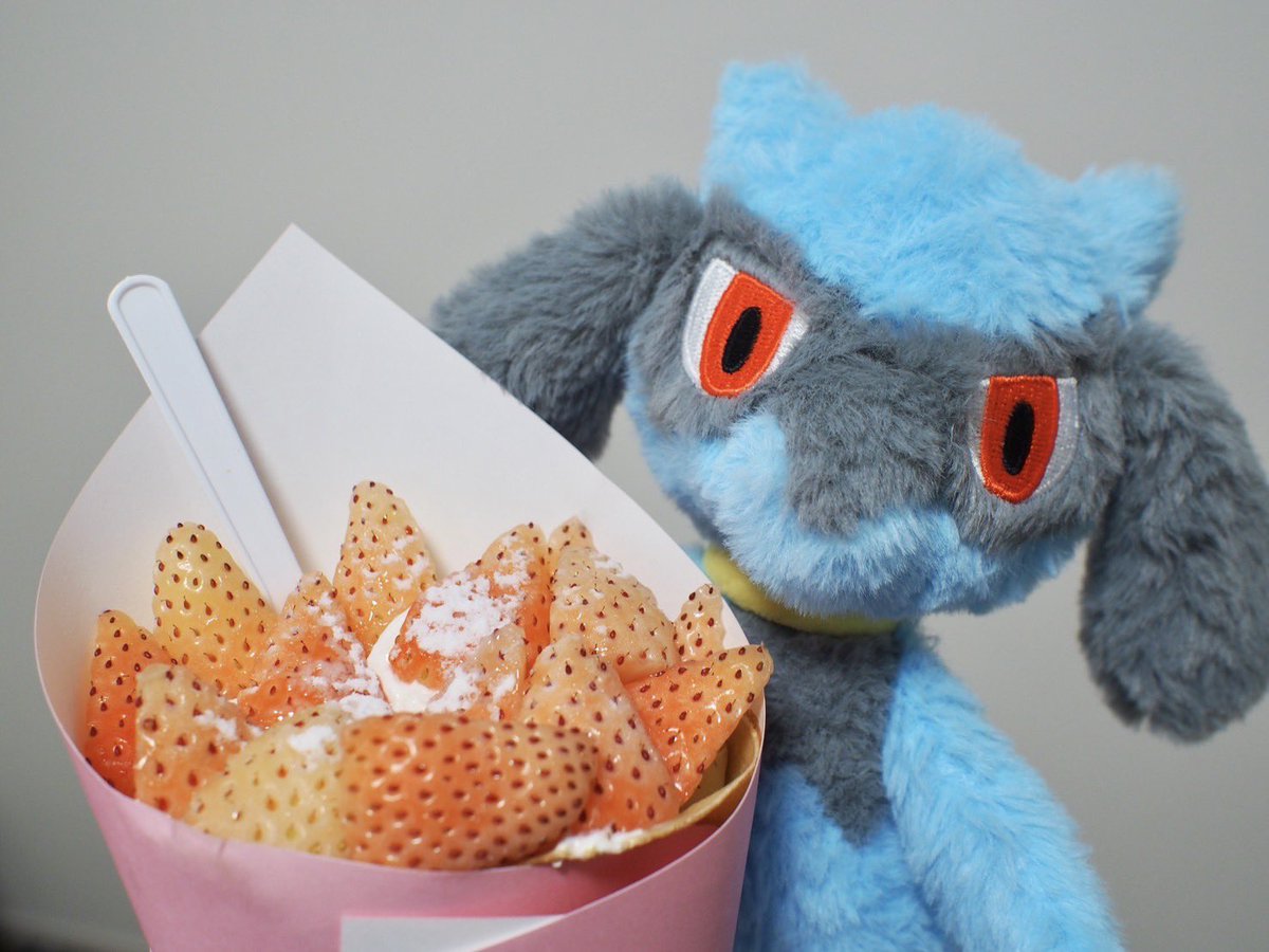 「これリオルの？」
そうだよ、たくさん食べてね☺️

「パァァ✨」

#ハッピーバレンタイン