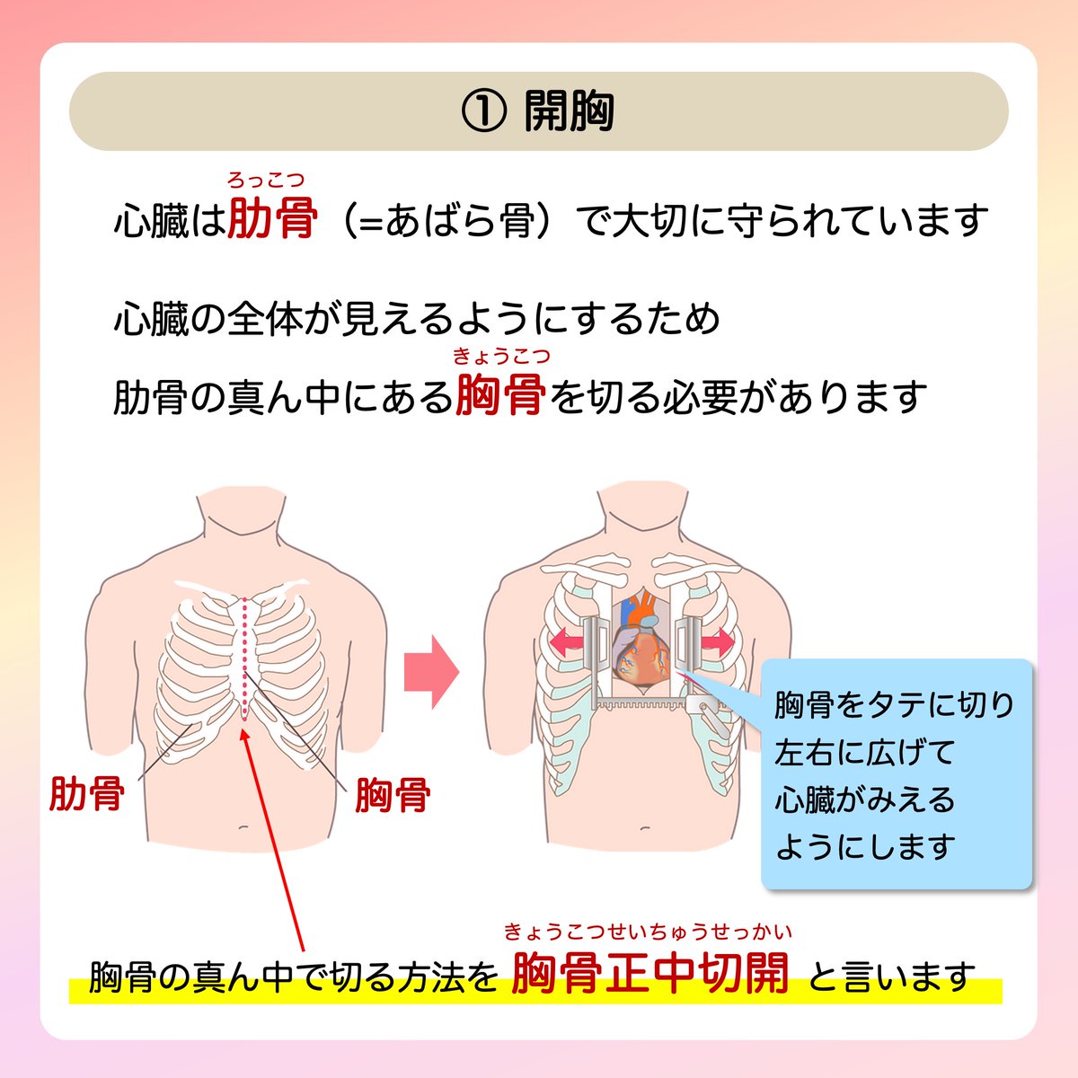 日本小児循環器学会【公式】 (@JSPCCS) / X 日本小児循環器学会【公式】 (@JSPCCS) / X