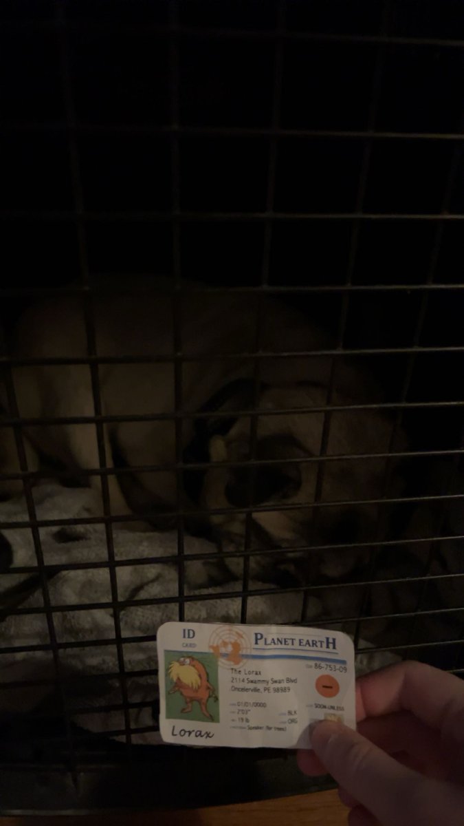 LV511679apes's tweet photo. This is my dog, Daisy. She is a K-strategist because she has a low reproduction rate. @franklinlorax #apeseco https://t.co/jRHuvC07Z7