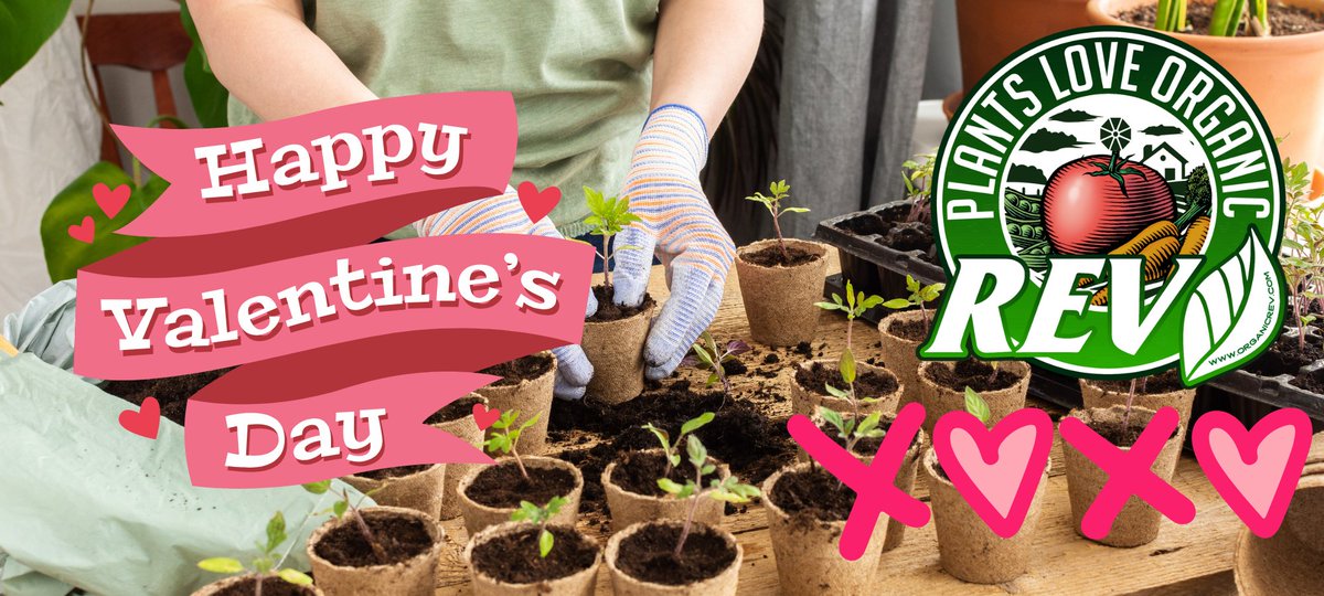 Seeds deserve love, too! This #ValentinesDay, treat your seedlings to @OrganicREV for faster germination &amp; stronger roots.

❤️ Soak your seeds in REV
❤️ Keep them cozy under bright lights
❤️ Dip seedlings in REV to reduce transplant shock
Special V-Day Gift: Spend $75+ &amp; get a