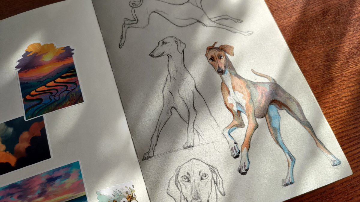 _Astarcis's tweet photo. Old sketchbook https://t.co/4NbOX0qPEZ