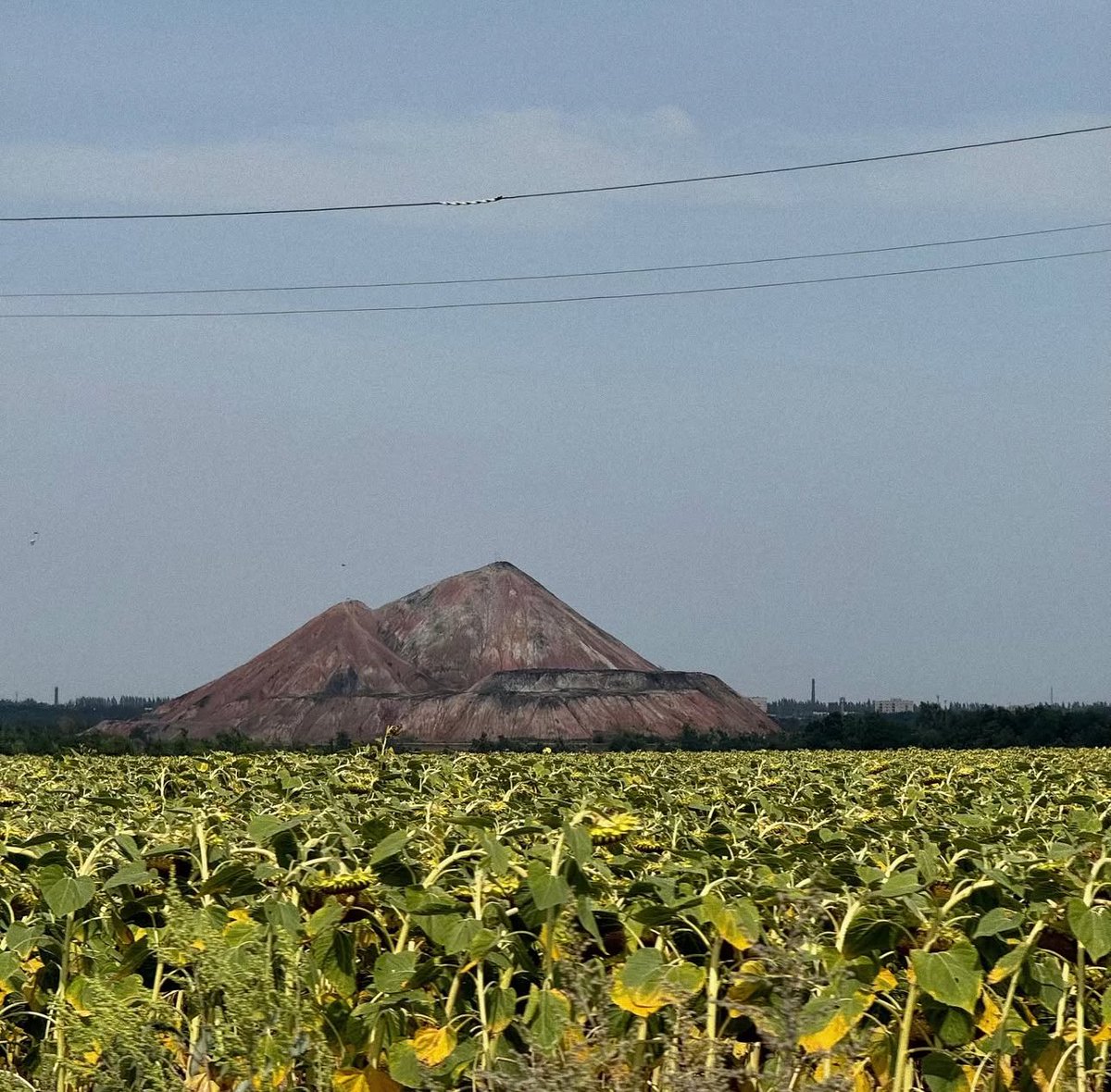 jana_skhidna's tweet image. любов не за горами, а за териконами! ❤️‍🔥