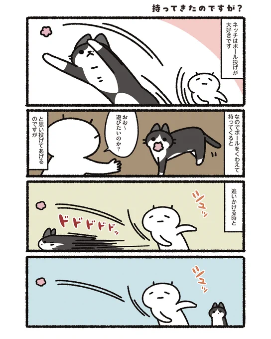 うちの猫のボール投げ (1/2) 