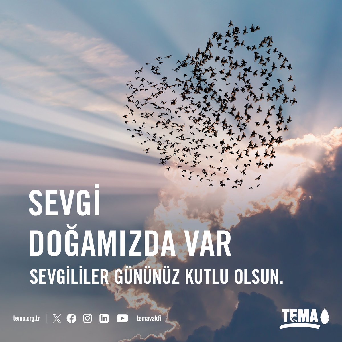 Sevgi Doğamızda Var  ❤🌳

Sevgililer Gününüz kutlu olsun 

#SevgililerGünü