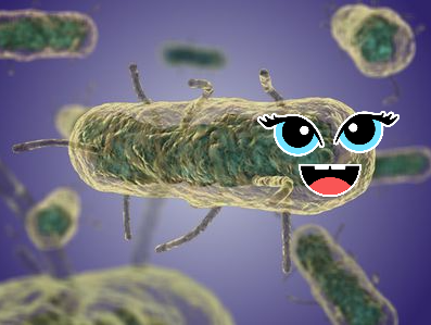 bg00101010's tweet photo. Storia di Gonji Amina.
Amina è una cucciola di Yersinia Pestis che vive su una pulce che vive su un ratto nella Mongolia del 1331; è desiderosa di vedere il mondo, perciò salta su un mercante, arriva in Cina e Siria, poi in Europa, dove con allegria provoca 20 milioni di morti. https://t.co/7ClVamXRL4