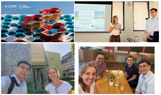 Begona Heras (@begonaheras) on Twitter photo Big thanks to A/Prof. Shu Sin Chng <a href="/Figlegend/">Shu-Sin Chng</a> from <a href="/NUSingapore/">NUS</a> for a fabulous talk at <a href="/LIMSLTU/">La Trobe Institute for Molecular Science</a> on bacterial cell envelope biogenesis and lipid trafficking—essential for maintaining the outer membrane lipid asymmetry and critical for bacterial survival.
<a href="/SABE_latrobe/">La Trobe Agriculture, Biomedicine & Environment</a> <a href="/latrobe/">La Trobe University</a> Big thanks to A/Prof. Shu Sin Chng <a href="/Figlegend/">Shu-Sin Chng</a> from <a href="/NUSingapore/">NUS</a> for a fabulous talk at <a href="/LIMSLTU/">La Trobe Institute for Molecular Science</a> on bacterial cell envelope biogenesis and lipid trafficking—essential for maintaining the outer membrane lipid asymmetry and critical for bacterial survival.
<a href="/SABE_latrobe/">La Trobe Agriculture, Biomedicine & Environment</a> <a href="/latrobe/">La Trobe University</a>