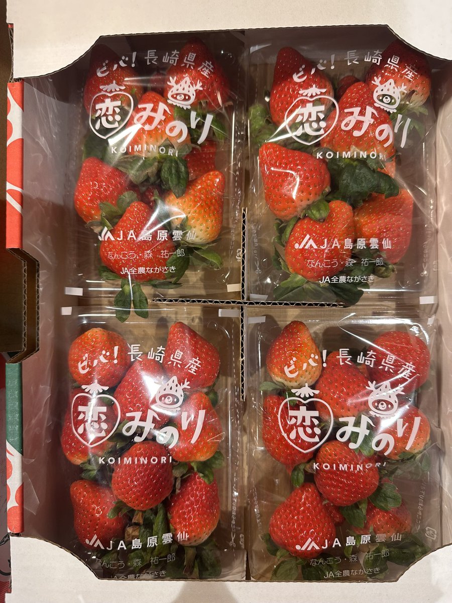 shake_chips's tweet photo. 季節のミルクシェイクをご紹介🙌

【🍓恋みのりのミルクシェイク🍓】
   香り高く上品な甘味と酸味
   長崎県産"恋みのり"を
   たっぷり堪能して頂ける一杯に
   仕上げました

是非この冬～春に食べて欲しいイチゴシェイクです🫶お待ちしてます✨😌
#シェイクアンドチップス #黒塀横丁 #東京駅 https://t.co/lZgPcdVxy6