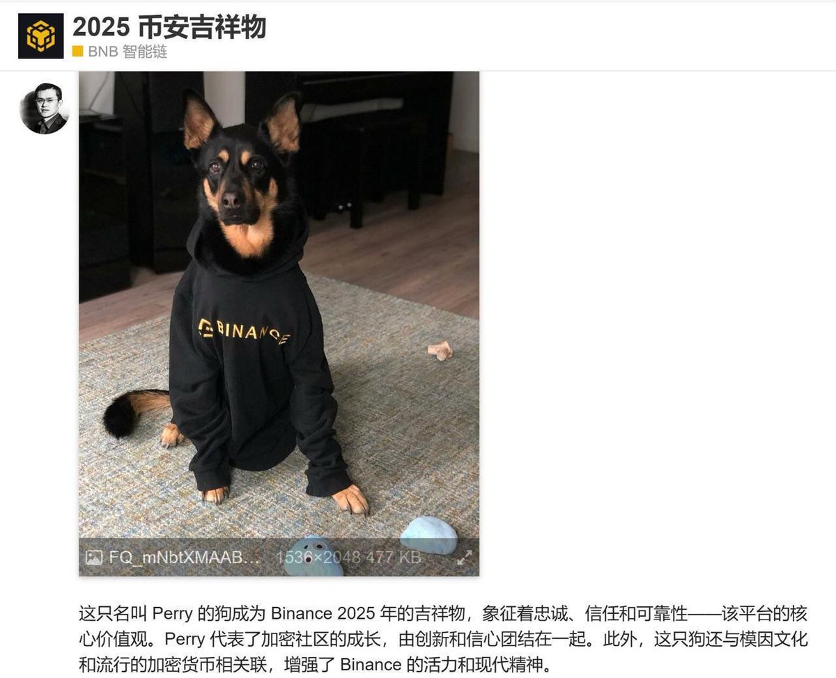 张大币 tweet media