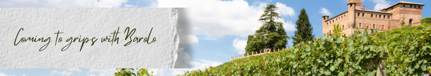Corlien Morris (@winemenusa) on Twitter photo They harvest, while we taste around the world.🍷 - mailchi.mp/winemenu/tasti… They harvest, while we taste around the world.🍷 - mailchi.mp/winemenu/tasti…