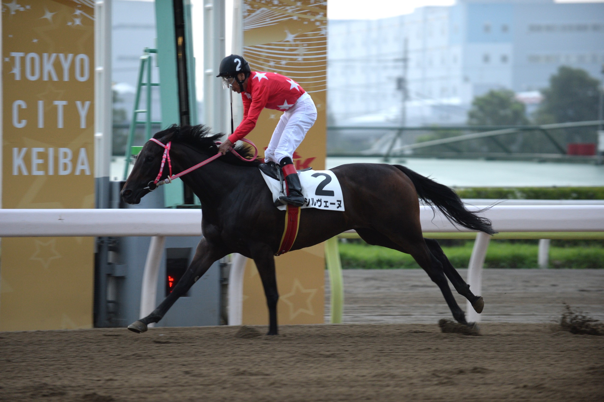 TCK 大井競馬場 的場文男騎手 7000勝記念 のぼり 当選品