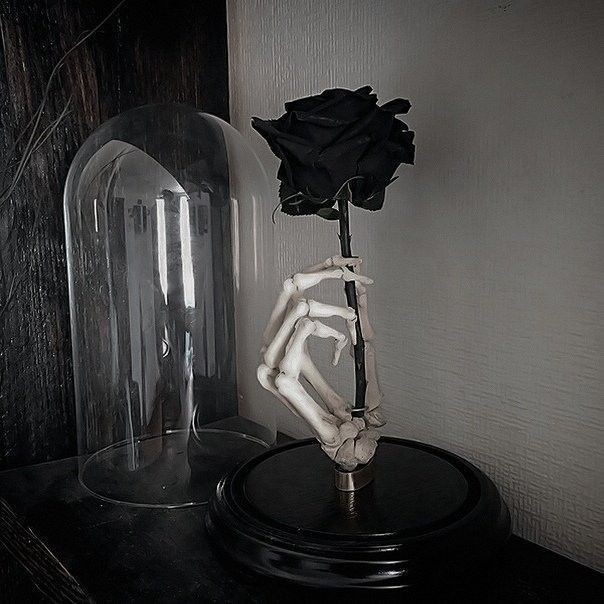 Wednesday_viper's tweet photo. And another one also letters? What are those for, and there all secrets admires

This got out of hands now.

Wait, I just remembered today is Valentines Day fuck of course it had to be many people around the school would give me those, and Enid is not even here. https://t.co/RmuauM86zX