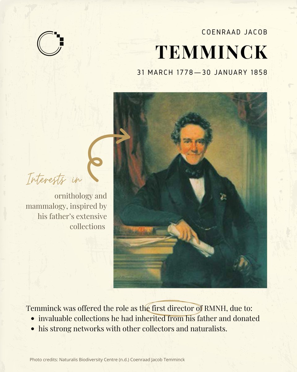 signifynathist's tweet image. This week, we discover how several of our Singapore specimens ended up in Leiden, Netherlands —10,517 km away from Singapore! 🚢🪶

Learn the story of Temminck, along with a few other early Dutch collectors who had set foot on Singapore!

Link to story in bio📖