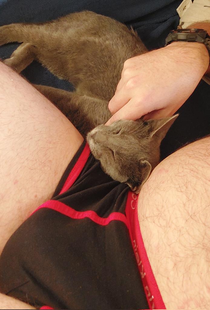 Обнимашек всем кошечкам, кицёндрам, котам и котярам в День Святого Валентина 🤟
#StValentinesDay #cat #kitty