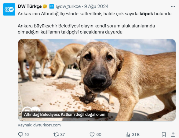 Almanya Makineli Tüfekle köpek öldürürken, Alman DW Türkçe, bize köpekçilik öğretiyor.