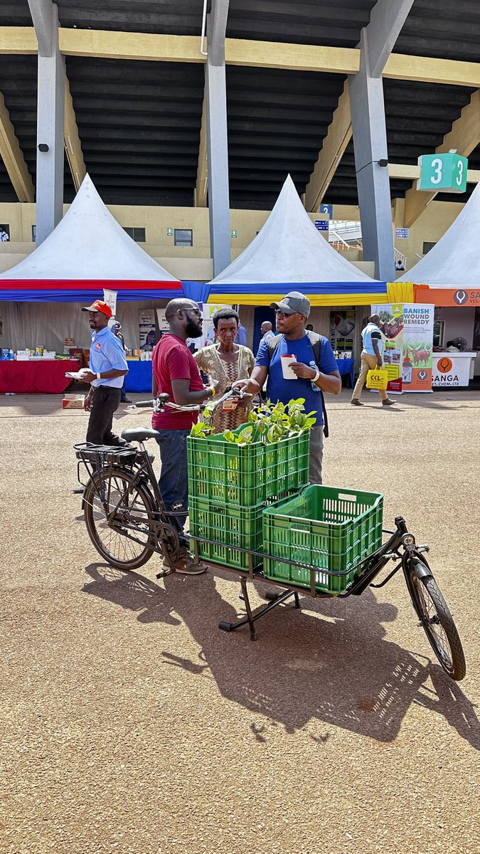 Africrooze_Ug's tweet photo. Planting season? We’ve got you sorted! 

With the Africrooze Ngamia E-Bike, farming just got easier! Effortless mobility, sustainable power, and more efficiency for your planting season.

Get yours today and plant with ease!
 At #HarvestMoneyExpo https://t.co/v9iISbD5Ei