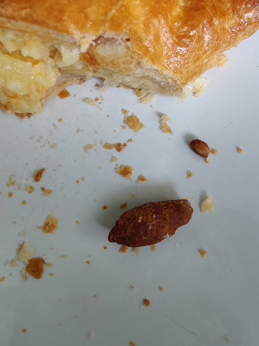 pengwagglas's tweet photo. @Tesco hi, I have found something v disturbing in my cheese and onion pasty. It looks like it might be meat? But I'm unsure? 😱😱😱😱 https://t.co/YhscmHNZhJ