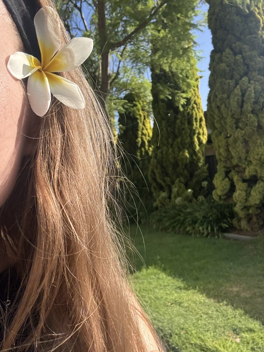 sarah 𓆩♡𓆪 tweet media