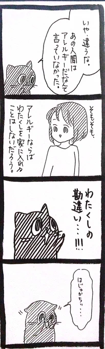 家庭内野良猫みのりちゃん47 