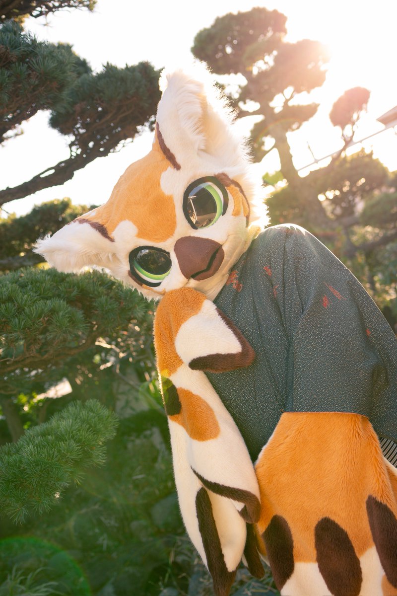 I'm flying to Europe soon and excited for my first NFC!! Who will I meet there? 🦉✨

📸 <a href="/__aym_____/">ema.🔜</a> 
#FursuitFriday